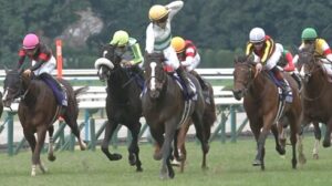 ソウルラッシュ、Cデムーロ騎手でマイルCSへ