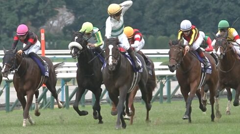 ソウルラッシュ、Cデムーロ騎手でマイルCSへ