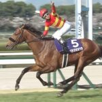 ベラジオオペラ次走は香港カップに決定「天皇賞を使うとベストで臨めないので香港一本」