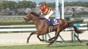 ベラジオオペラ次走は香港カップに決定「天皇賞を使うとベストで臨めないので香港一本」