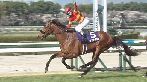 ベラジオオペラ次走は香港カップに決定「天皇賞を使うとベストで臨めないので香港一本」