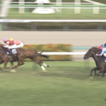 スプリンターズステークス(GI) 反省会