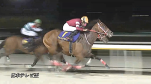 【日本テレビ盃】フォーエバーヤング強すぎワロタwww