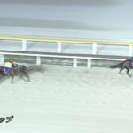 【 マリーンC】プラウドフレール＆張田昂騎手がｷﾀ━━━━(ﾟ∀ﾟ)━━━━!!