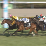 【秋風S】ピースワンデュック柴田善臣騎手大復活！