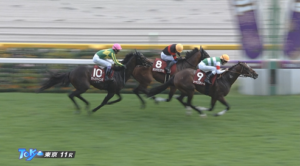 サトノシャイニングくん