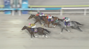 【レディスプレリュード】ビヨンドザヴァレー＆菱田騎手がｷﾀ━━━━(ﾟ∀ﾟ)━━━━!!