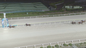 ジャパンダートクラシック売上も入場者数も大幅減