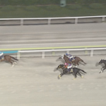 【東京盃】ヤマニンチェルキ&岩田望来騎手がキタ━━━━(゚∀゚)━━━━!!