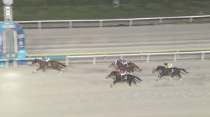 【東京盃】ヤマニンチェルキ＆岩田望来騎手がｷﾀ━━━━(ﾟ∀ﾟ)━━━━!!