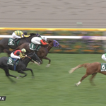 【サウジアラビアRC】エコロアルバ&坂井騎手がキタ━━━━(゚∀゚)━━━━!!