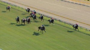 日曜劇場ザ・ロイヤルファミリー第1話★3