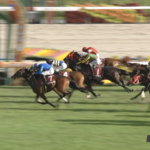 【スワンS】アドマイヤズームさん