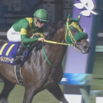 ウィルソンテソーロ川田騎手のコメント