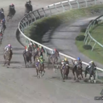 【南部杯】サンライズジパングさん