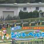 ジョッキーベイビーズの時間だああああああああああああ