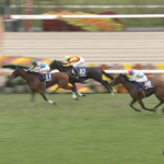 パラディレーヌ丹内騎手のコメント
