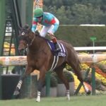 牝馬2冠のエンブロイダリーは香港マイル&カップに予備登録
