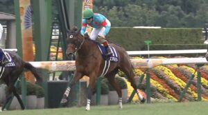 牝馬2冠のエンブロイダリーは香港マイル&カップに予備登録
