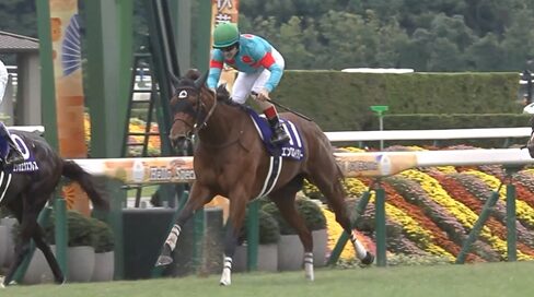 牝馬2冠のエンブロイダリーは香港マイル&カップに予備登録