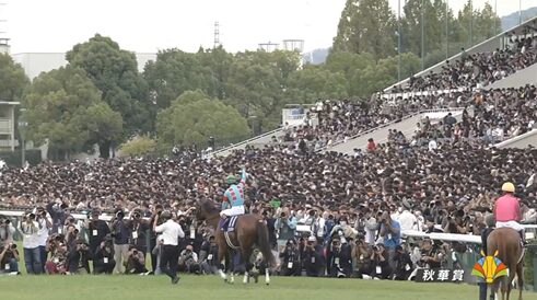 京都競馬場、静まりかえる