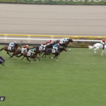 東京5Rブラウンバナナ