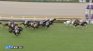 東京5Rブラウンバナナ