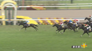 【菊花賞】エリキング川田騎手