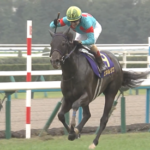 【悲報】JRAさん、エネルジコルメール騎手のジョッキーカメラなし…