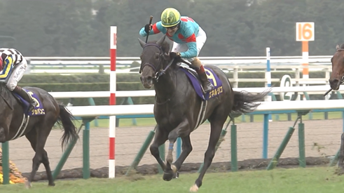 菊花賞馬エネルジコ屈腱炎