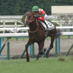 GLAYのテルヒコ氏「友達に馬の名前つけてくれと頼まれたからテルヒコウとつけた」