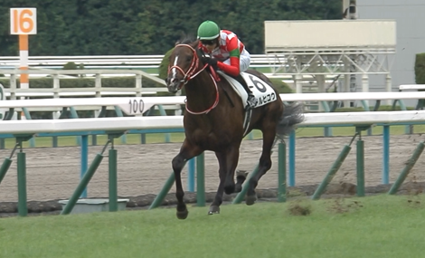 GLAYのテルヒコ氏「友達に馬の名前つけてくれと頼まれたからテルヒコウとつけた」