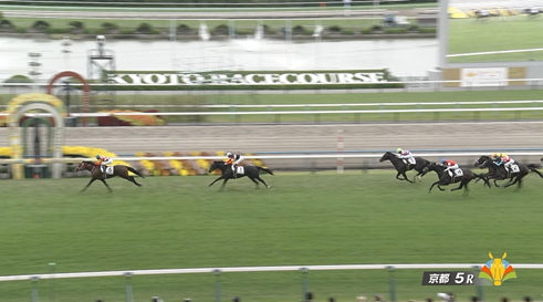 5.9億のエムズビギン敗れる