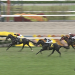 【萩S】バドリナート&坂井騎手がキタ━━━━(゚∀゚)━━━━!!