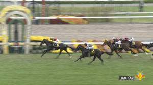 【萩S】バドリナート&坂井騎手がキタ━━━━(゚∀゚)━━━━!!