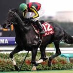 凱旋門賞に行って欲しかった馬