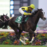 アルテミスS快勝のフィロステファニが屈腱炎で引退