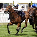 【マイルCS】イギリスから参戦のドックランズって何者