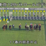 【ジャパンC】アドマイヤテラ川田ｗｗｗ