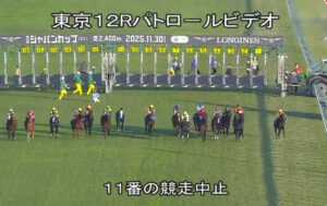 【ジャパンC】アドマイヤテラ川田ｗｗｗ