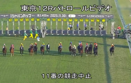 【ジャパンC】アドマイヤテラ川田www