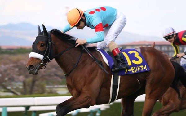 競馬場がどよめいたレース