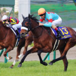 アーモンドアイとかいう過大評価の府中専用機