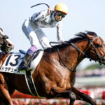 走り方がカッコよかった競走馬