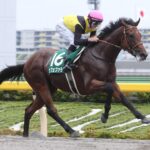 好きな歴代のダート馬でも書いていけ