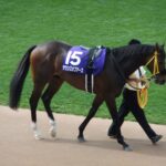 実は重賞勝ってない馬