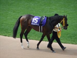 実は重賞勝ってない馬