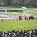 秋古馬3冠全部3歳牡馬が勝つ可能性