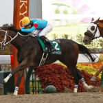 【みやこS】牝馬ダブルハートボンドがレコードでV！重賞初制覇