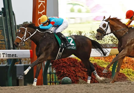 【みやこS】牝馬ダブルハートボンドがレコードでV!重賞初制覇